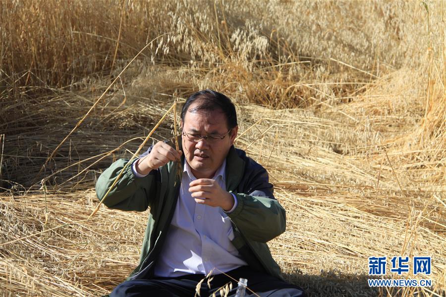 （新時(shí)代擔(dān)當(dāng)作為典型&middot;圖文互動(dòng)）（1）草地生態(tài)專家趙新全：情深不舍三江源