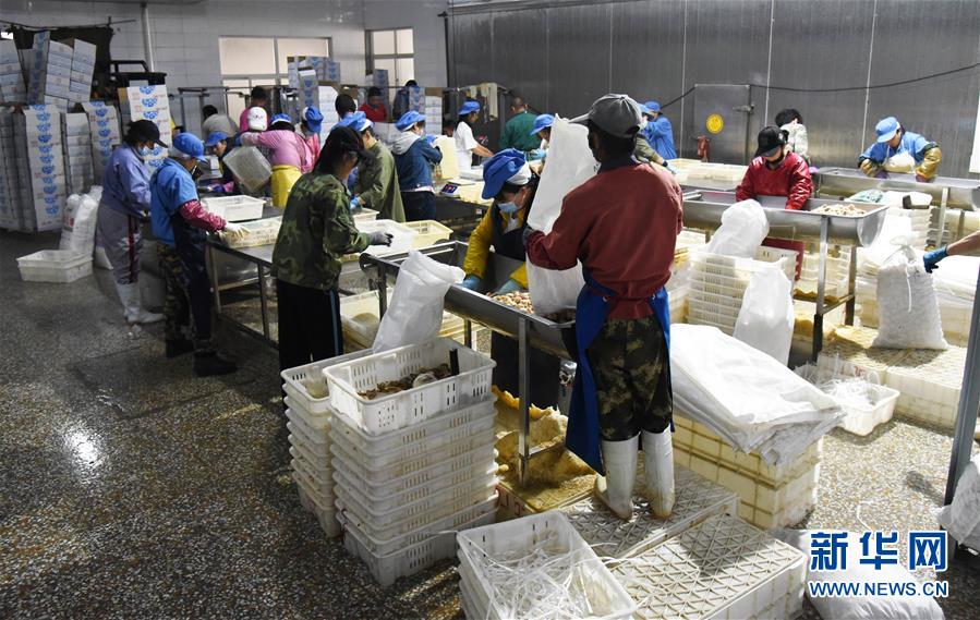 （新華全媒頭條&middot;走向我們的小康生活&middot;圖文互動）（3）幸福小康入畫來&mdash;&mdash;齊魯大地描繪小康新畫卷