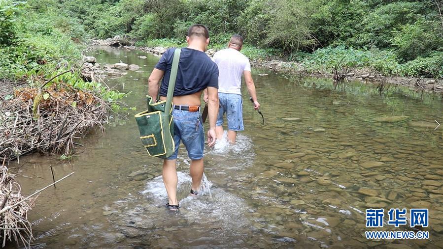 （高溫下的勞動(dòng)者&middot;圖文互動(dòng)）（1）高溫襲來，他們用雙手守護(hù)貧困大山