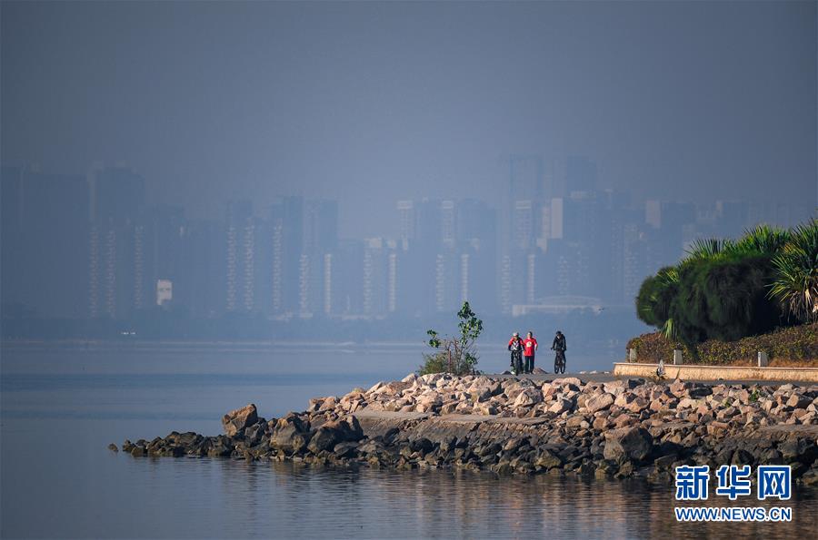 （新華全媒頭條&middot;圖文互動）（10）鯤鵬展翅九萬里&mdash;&mdash;深圳奮力跑好建設中國特色社會主義先行示范區(qū)&ldquo;第一程&rdquo;