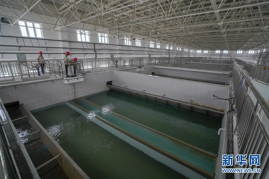 （決戰(zhàn)決勝脫貧攻堅(jiān)&middot;圖文互動(dòng)）（3）改水記