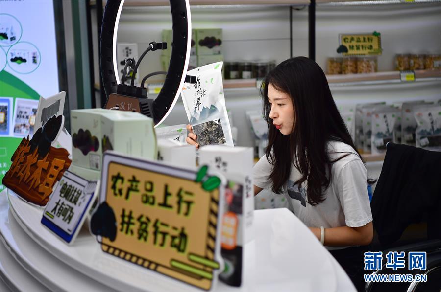 （走向我們的小康生活&middot;圖文互動(dòng)）（3）綠了青山，紅了日子&mdash;&mdash;秦巴山區(qū)群眾繪出小康&ldquo;調(diào)色板&rdquo;