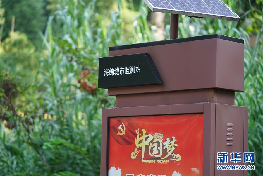 (圖文互動(dòng))(3)“綠灰白”破解城市內(nèi)澇之“囧”