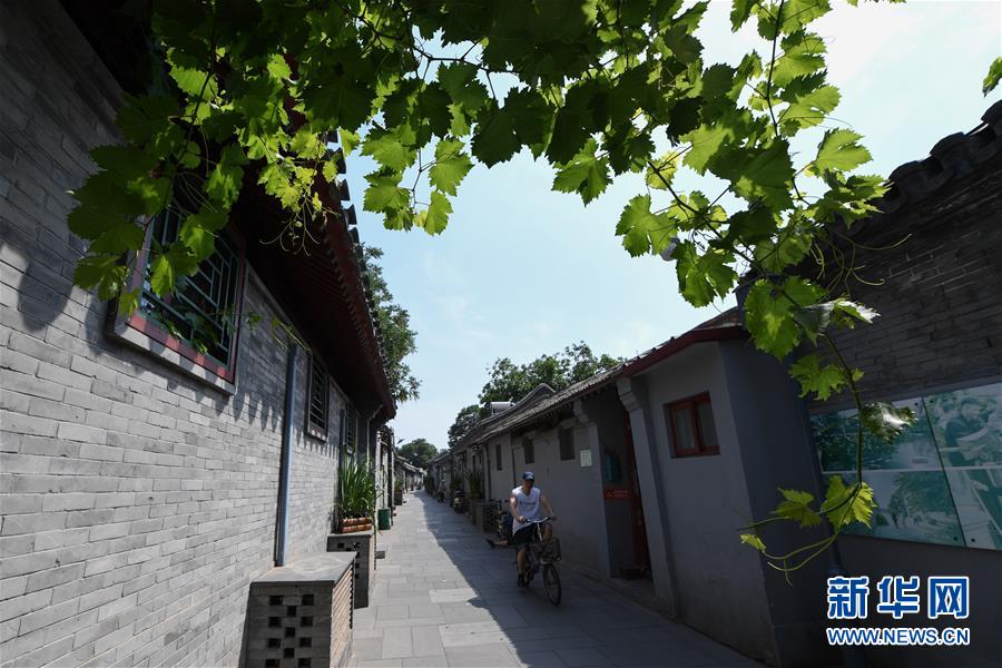 （走向我們的小康生活&middot;圖文互動(dòng)）（1）小橋、流水、書(shū)香、人家&mdash;&mdash;老北京胡同里的恬靜棲居
