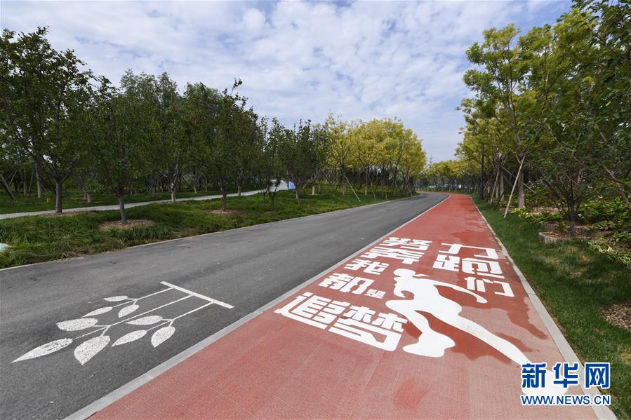 (新華全媒頭條·圖文互動(dòng))(3)“繡”出古都新生活——城市精細(xì)化治理的北京探索