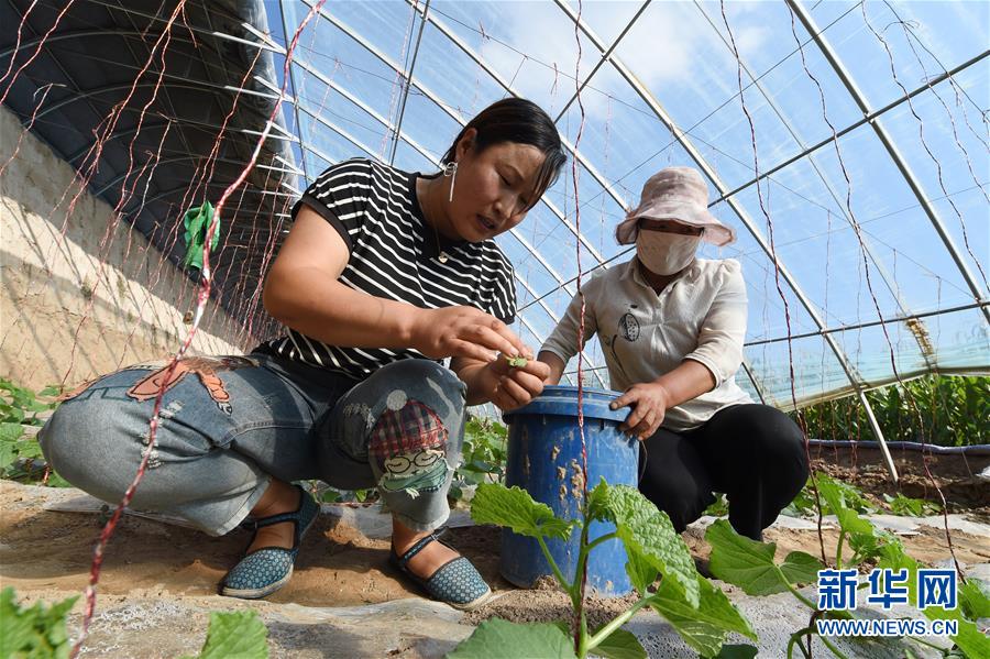 （新華全媒頭條&middot;走向我們的小康生活&middot;圖文互動）（5）&ldquo;苦甲&rdquo;不再，&ldquo;甘味&rdquo;綿長&mdash;&mdash;脫貧攻堅的甘肅味道