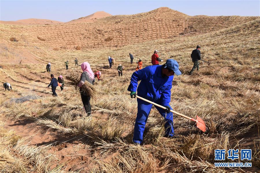 （新華全媒頭條&middot;走向我們的小康生活&middot;圖文互動）（6）&ldquo;苦甲&rdquo;不再，&ldquo;甘味&rdquo;綿長&mdash;&mdash;脫貧攻堅的甘肅味道