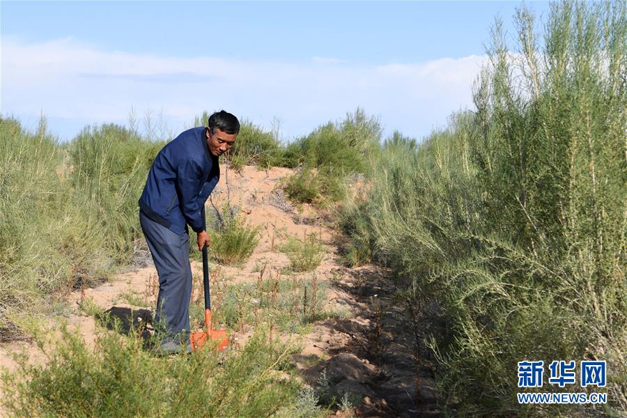 （新華全媒頭條&middot;走向我們的小康生活&middot;圖文互動）（8）&ldquo;苦甲&rdquo;不再，&ldquo;甘味&rdquo;綿長&mdash;&mdash;脫貧攻堅的甘肅味道
