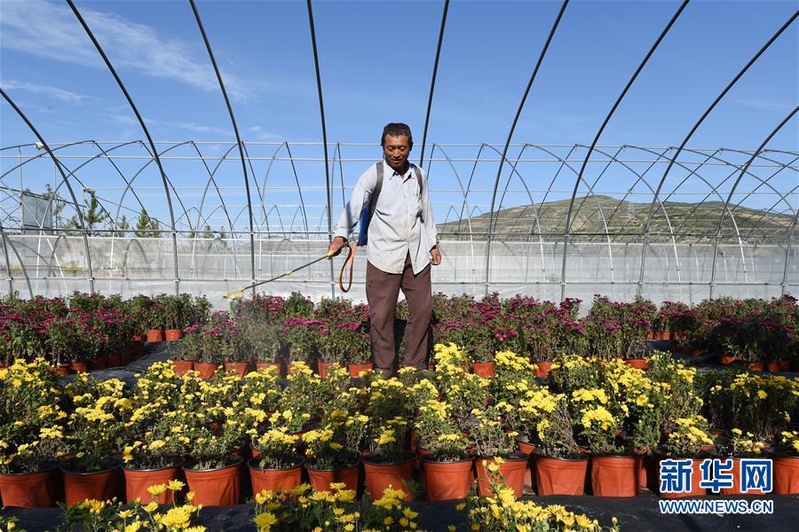 （新華全媒頭條&middot;走向我們的小康生活&middot;圖文互動）（10）&ldquo;苦甲&rdquo;不再，&ldquo;甘味&rdquo;綿長&mdash;&mdash;脫貧攻堅的甘肅味道