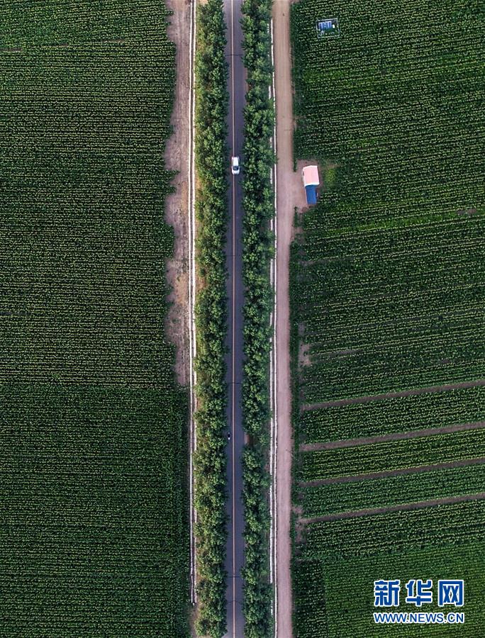 （新華全媒頭條&middot;圖文互動）（3）為現(xiàn)代農(nóng)業(yè)探新路&mdash;&mdash;來自吉林梨樹的田野報(bào)告