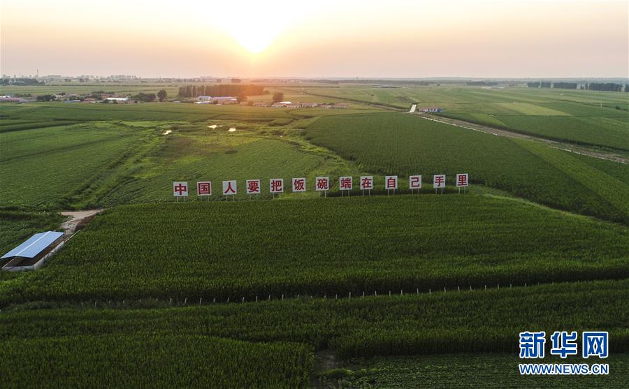 （新華全媒頭條&middot;圖文互動）（6）為現(xiàn)代農(nóng)業(yè)探新路&mdash;&mdash;來自吉林梨樹的田野報(bào)告