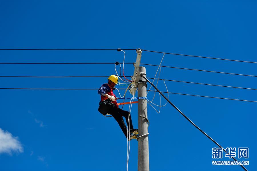 (新華全媒頭條·走向我們的小康生活·圖文互動(dòng))(9)綠色繪就三江源——來自青海脫貧奔小康一線的蹲點(diǎn)報(bào)告