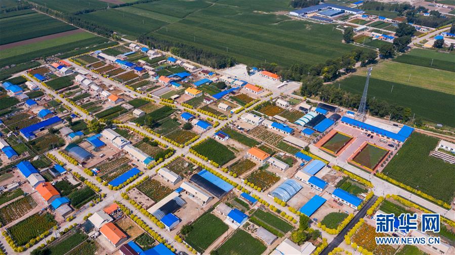 （新華全媒頭條&middot;走向我們的小康生活&middot;圖文互動(dòng)）（1）黑土地上是我家&mdash;&mdash;在吉林，一瞥中國(guó)東北鄉(xiāng)村美麗未來(lái)