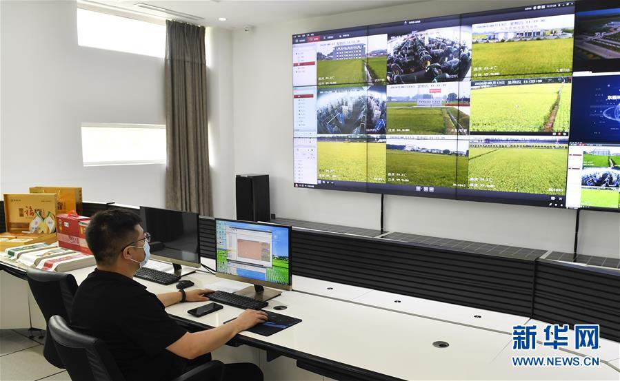 （新華全媒頭條&middot;走向我們的小康生活&middot;圖文互動(dòng)）（4）黑土地上是我家&mdash;&mdash;在吉林，一瞥中國(guó)東北鄉(xiāng)村美麗未來(lái)