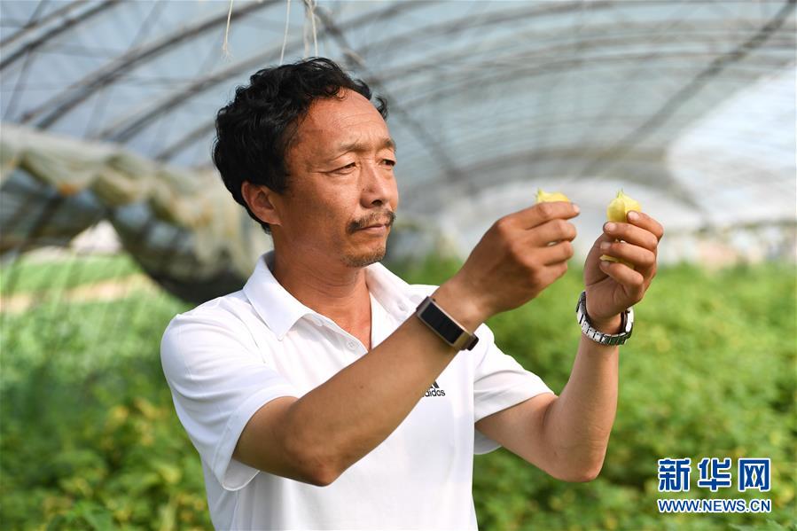 （新華全媒頭條&middot;走向我們的小康生活&middot;圖文互動(dòng)）（7）黑土地上是我家&mdash;&mdash;在吉林，一瞥中國(guó)東北鄉(xiāng)村美麗未來(lái)