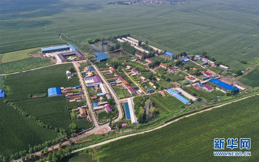 （新華全媒頭條&middot;走向我們的小康生活&middot;圖文互動(dòng)）（12）黑土地上是我家&mdash;&mdash;在吉林，一瞥中國(guó)東北鄉(xiāng)村美麗未來(lái)