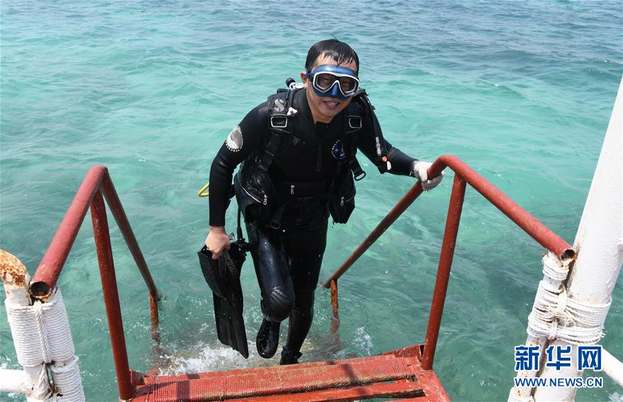 （在習(xí)近平新時(shí)代中國特色社會(huì)主義思想指引下&mdash;&mdash;新時(shí)代新作為新篇章&middot;習(xí)近平總書記關(guān)切事&middot;圖文互動(dòng)）（5）終不悔為國為民，攀高峰只爭(zhēng)朝夕&mdash;&mdash;來自科學(xué)家們的動(dòng)人故事