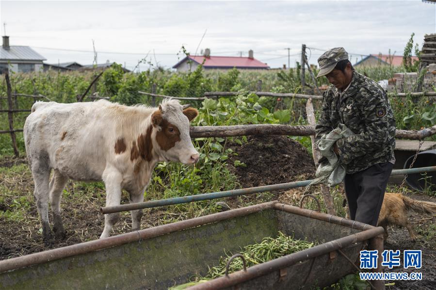 （決戰(zhàn)決勝脫貧攻堅&middot;圖文互動）（2）團結村的李輝新傳