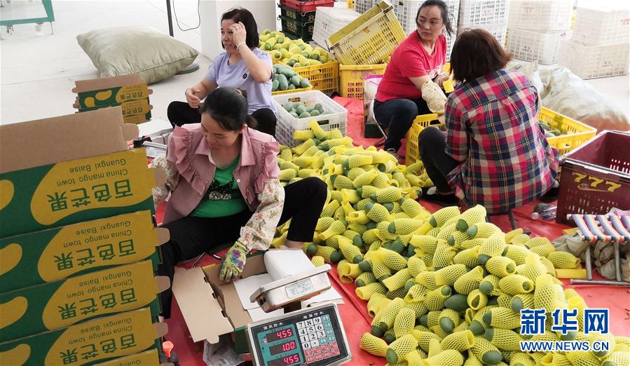 （決戰(zhàn)決勝脫貧攻堅(jiān)&middot;圖文互動(dòng)）（3）同飲一江水 攜手&ldquo;斬窮根&rdquo;&mdash;&mdash;深圳對(duì)口廣西河池、百色扶貧協(xié)作見聞