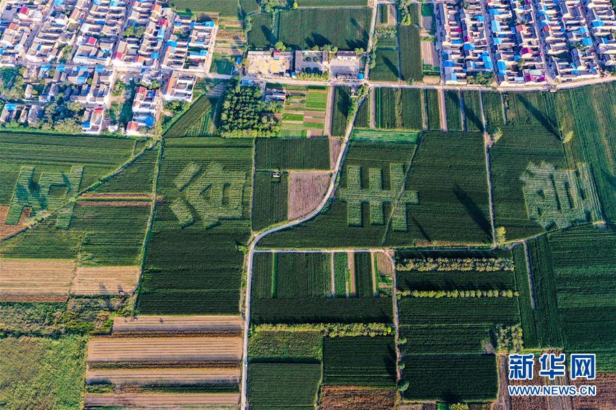 (新華全媒頭條·圖文互動(dòng))(3)天道酬勤的大地贊歌——寫在第三個(gè)中國(guó)農(nóng)民豐收節(jié)之際