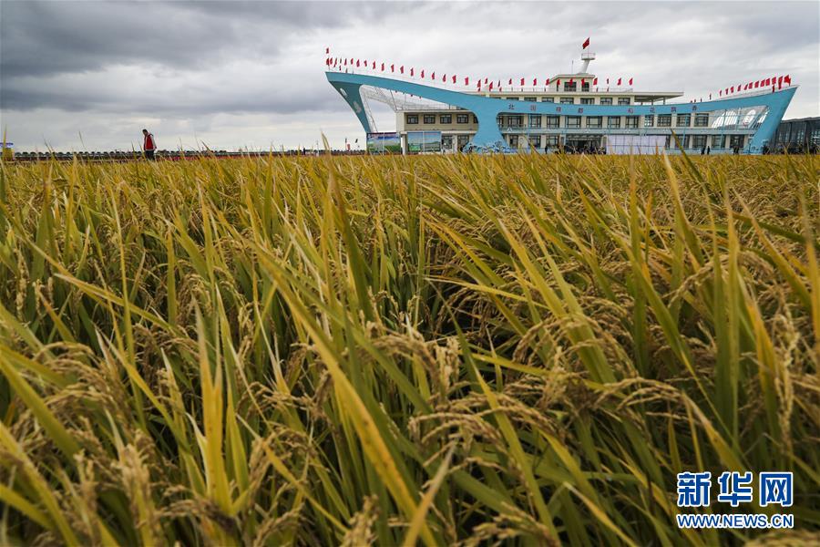 (新華全媒頭條·圖文互動(dòng))(1)天道酬勤的大地贊歌——寫在第三個(gè)中國(guó)農(nóng)民豐收節(jié)之際