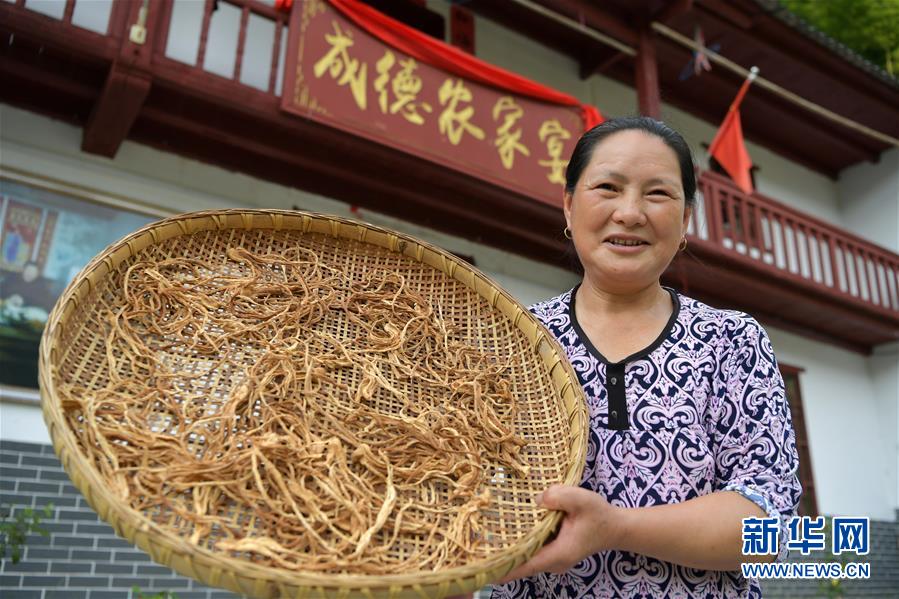 （新華全媒頭條&middot;走向我們的小康生活&middot;圖文互動(dòng)）（4）神山村&ldquo;神奇&rdquo;何在？&mdash;&mdash;井岡山深處覓答案