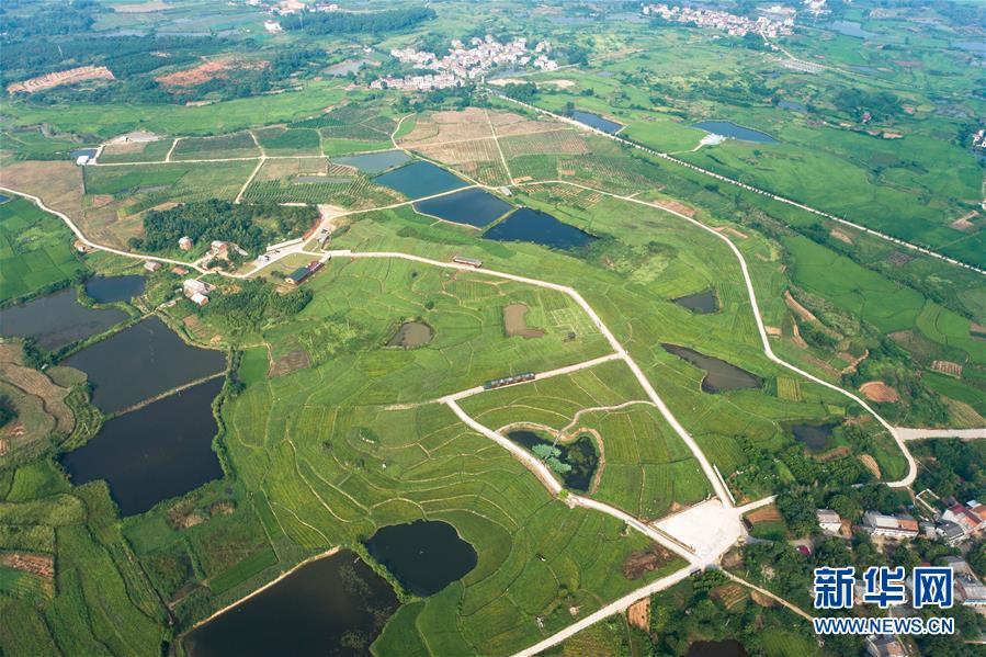 （新華全媒頭條&middot;走向我們的小康生活&middot;圖文互動）（1）特殊之年，荊楚大地書寫不平凡的答卷