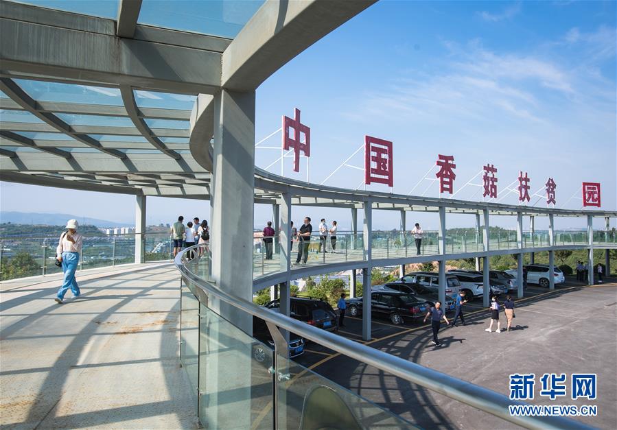 （新華全媒頭條&middot;走向我們的小康生活&middot;圖文互動）（2）特殊之年，荊楚大地書寫不平凡的答卷