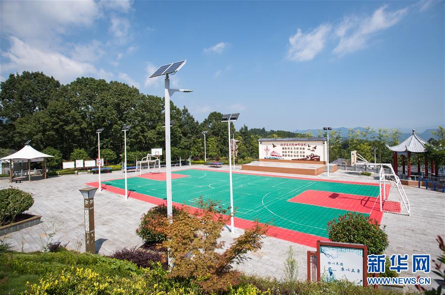 （新華全媒頭條&middot;走向我們的小康生活&middot;圖文互動）（6）特殊之年，荊楚大地書寫不平凡的答卷