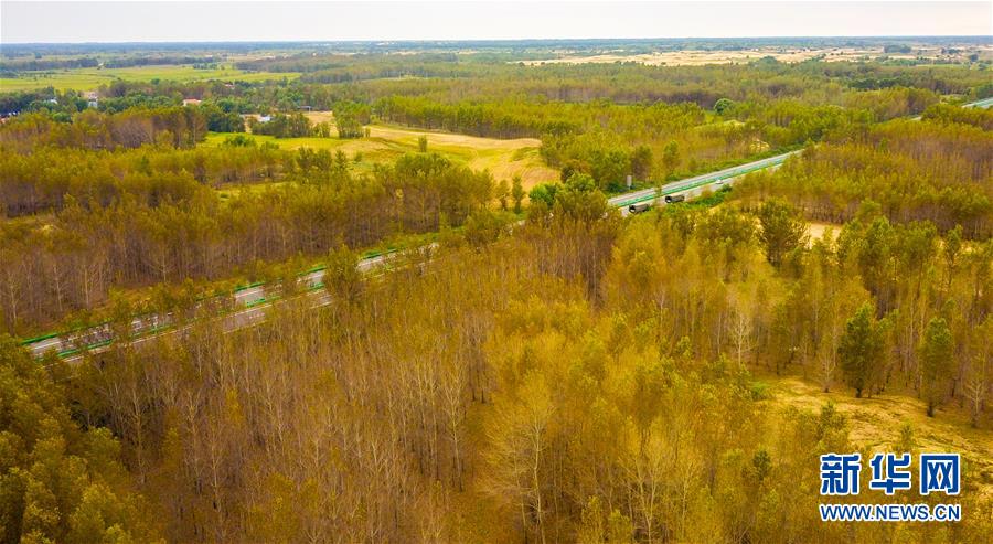 （在習(xí)近平新時代中國特色社會主義思想指引下&mdash;&mdash;新時代新作為新篇章&middot;習(xí)近平總書記關(guān)切事&middot;圖文互動）（3）綠意，在黃沙中鋪展&mdash;&mdash;我國防沙治沙紀(jì)實(shí)