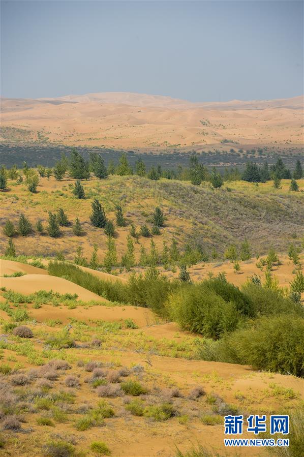 （在習(xí)近平新時代中國特色社會主義思想指引下&mdash;&mdash;新時代新作為新篇章&middot;習(xí)近平總書記關(guān)切事&middot;圖文互動）（6）綠意，在黃沙中鋪展&mdash;&mdash;我國防沙治沙紀(jì)實(shí)