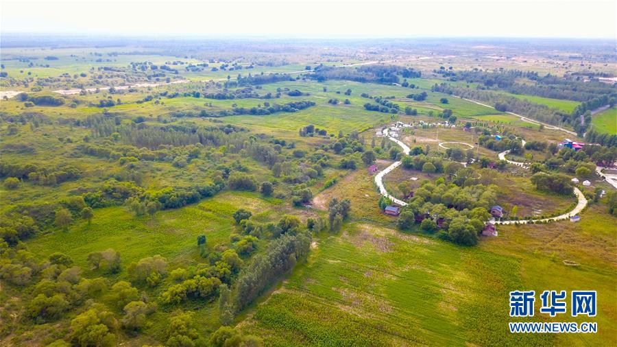 （在習(xí)近平新時代中國特色社會主義思想指引下&mdash;&mdash;新時代新作為新篇章&middot;習(xí)近平總書記關(guān)切事&middot;圖文互動）（1）綠意，在黃沙中鋪展&mdash;&mdash;我國防沙治沙紀(jì)實(shí)