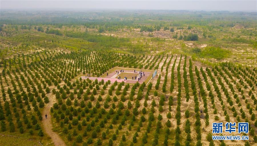 （在習(xí)近平新時代中國特色社會主義思想指引下&mdash;&mdash;新時代新作為新篇章&middot;習(xí)近平總書記關(guān)切事&middot;圖文互動）（2）綠意，在黃沙中鋪展&mdash;&mdash;我國防沙治沙紀(jì)實(shí)