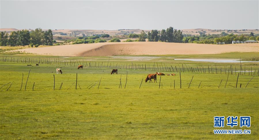 （在習(xí)近平新時代中國特色社會主義思想指引下&mdash;&mdash;新時代新作為新篇章&middot;習(xí)近平總書記關(guān)切事&middot;圖文互動）（9）綠意，在黃沙中鋪展&mdash;&mdash;我國防沙治沙紀(jì)實(shí)