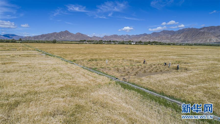 （新華全媒頭條&middot;走向我們的小康生活&middot;圖文互動）（11）扎西德勒，我們的新家園&mdash;&mdash;西藏易地扶貧搬遷搬出幸福美好新生活