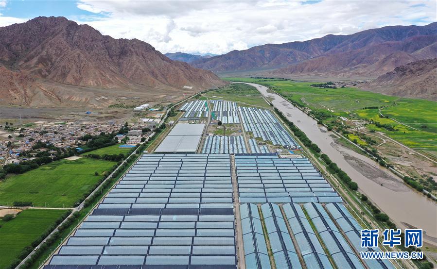 （走向我們的小康生活&middot;決戰(zhàn)決勝脫貧攻堅&middot;圖文互動）（2）高原喜見&ldquo;壽光綠&rdquo;&mdash;&mdash;&ldquo;世界屋脊&rdquo;上的蔬菜發(fā)展奇跡
