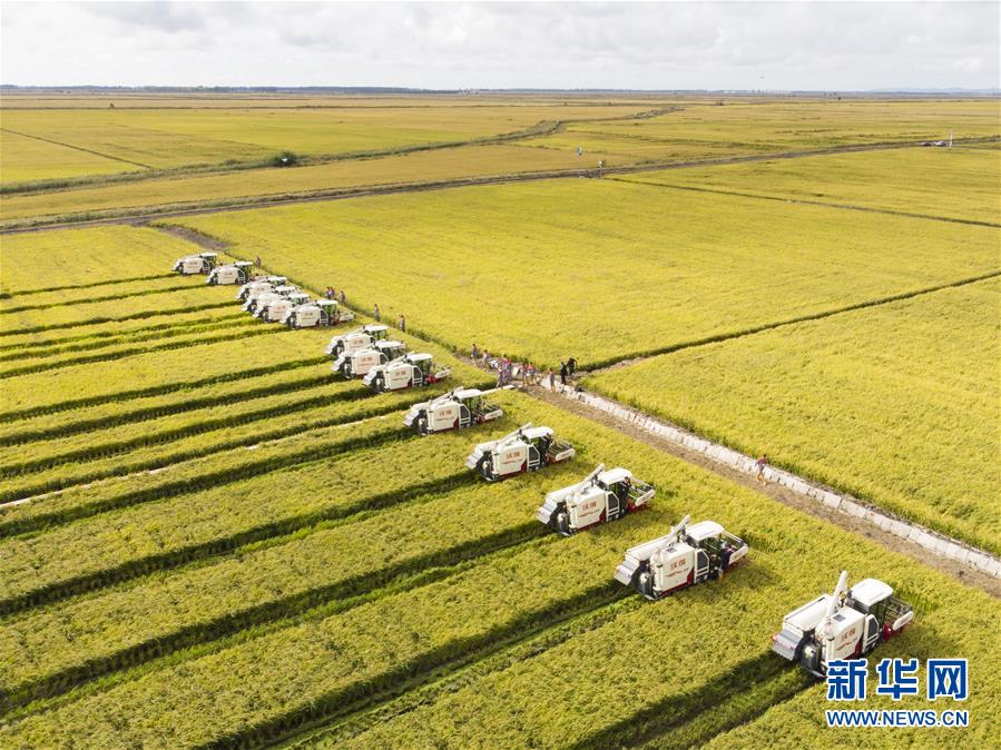 （新華全媒頭條&middot;圖文互動）（15）奮斗結(jié)碩果，再寫新篇章&mdash;&mdash;寫在共和國71周年華誕之際