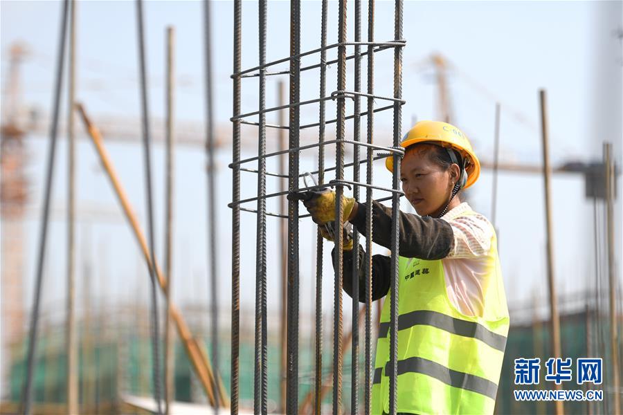 (社會(huì))(11)堅(jiān)守崗位過(guò)假期