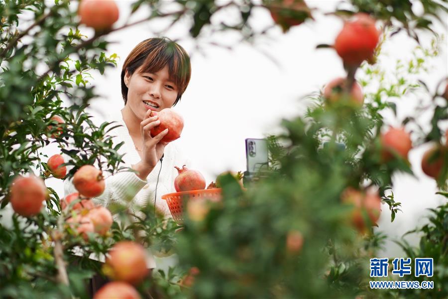 （新華全媒頭條&middot;圖文互動(dòng)）（12）流動(dòng)中國折射復(fù)蘇新氣象&mdash;&mdash;透視&ldquo;十一&rdquo;黃金周