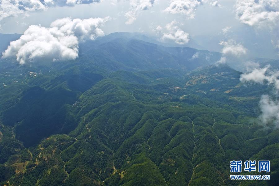 (熱點鮮報·圖文互動)(1)善洲精神永相傳:留下一片綠洲 造福家鄉(xiāng)百姓