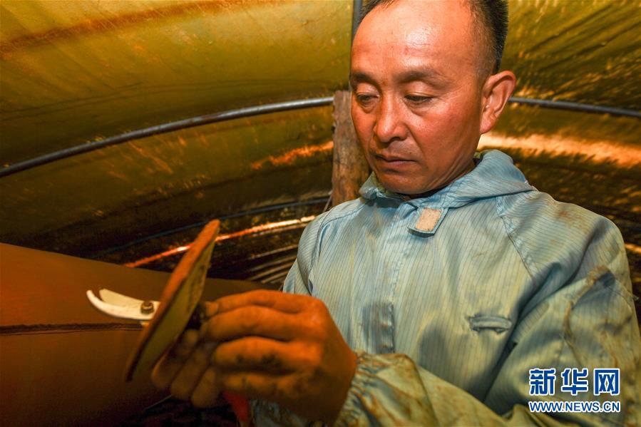 （決戰(zhàn)決勝脫貧攻堅&middot;圖文互動）（3）從&ldquo;因殘致貧&rdquo;到&ldquo;帶頭脫貧&rdquo;&mdash;&mdash;吉林靖宇有這樣一位&ldquo;脫貧英雄&rdquo;