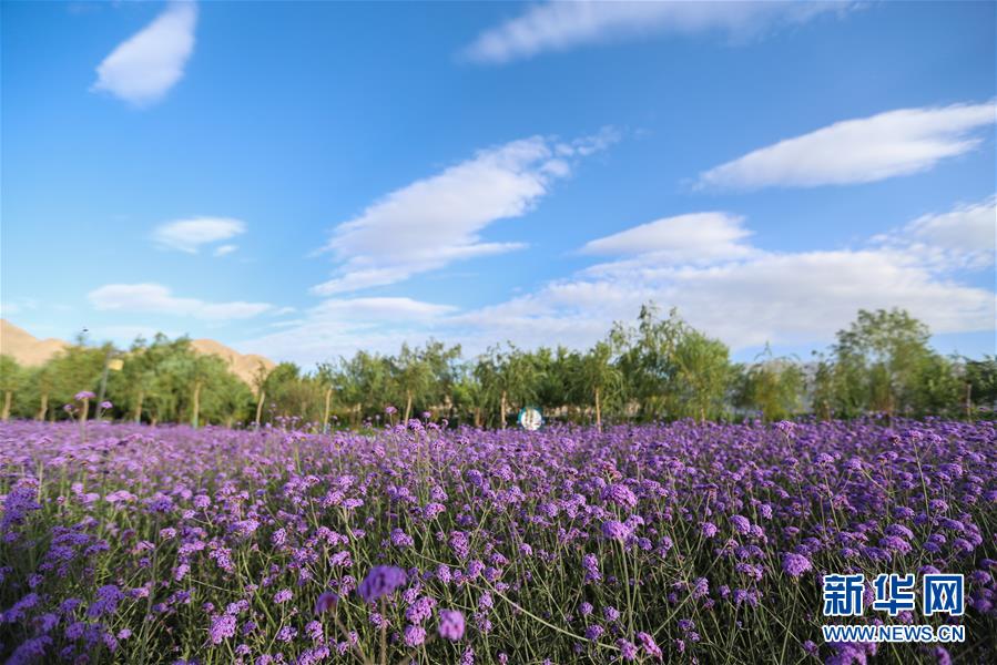 （新華全媒頭條&middot;圖文互動）（7）大山的回響&mdash;&mdash;三個(gè)民族自治縣的70年巨變
