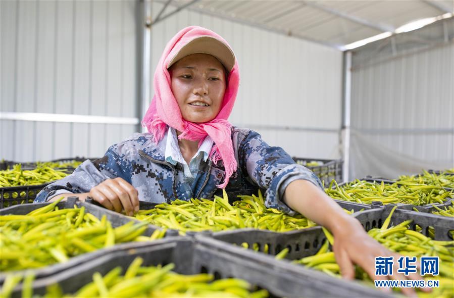 (新華全媒頭條·百萬大移民·圖文互動)(9)從大山深處到大河之畔——寧夏持續(xù)移民百萬“拔窮根”啟示