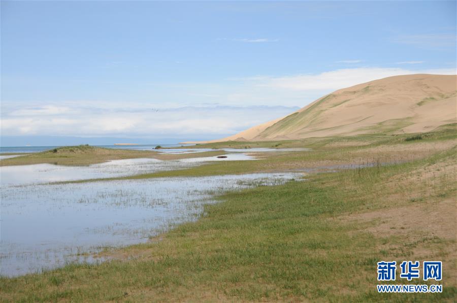 （新華全媒頭條&middot;圖文互動(dòng)）（12）大湖見(jiàn)證 &mdash;&mdash;持續(xù)保護(hù)讓青海湖生態(tài)華麗&ldquo;蝶變&rdquo;