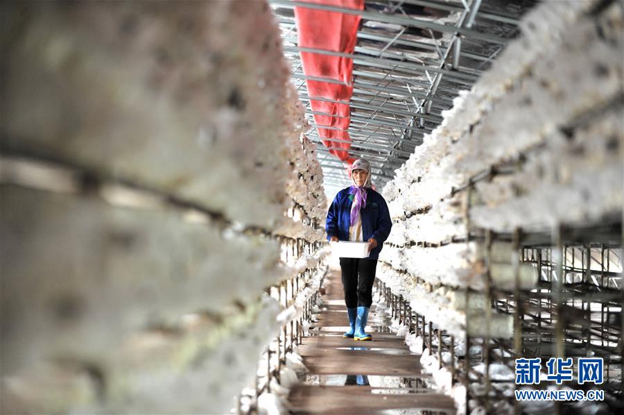 （習(xí)近平的小康故事&middot;圖文互動）（6）&ldquo;我很期盼的一件事，就是讓鄉(xiāng)親們飽餐一頓肉&rdquo;&mdash;&mdash;習(xí)近平和脫貧攻堅的故事