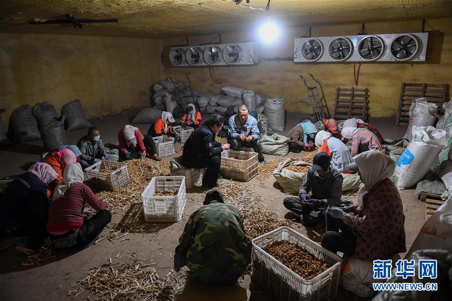 （習(xí)近平的小康故事&middot;圖文互動）（8）&ldquo;我很期盼的一件事，就是讓鄉(xiāng)親們飽餐一頓肉&rdquo;&mdash;&mdash;習(xí)近平和脫貧攻堅的故事