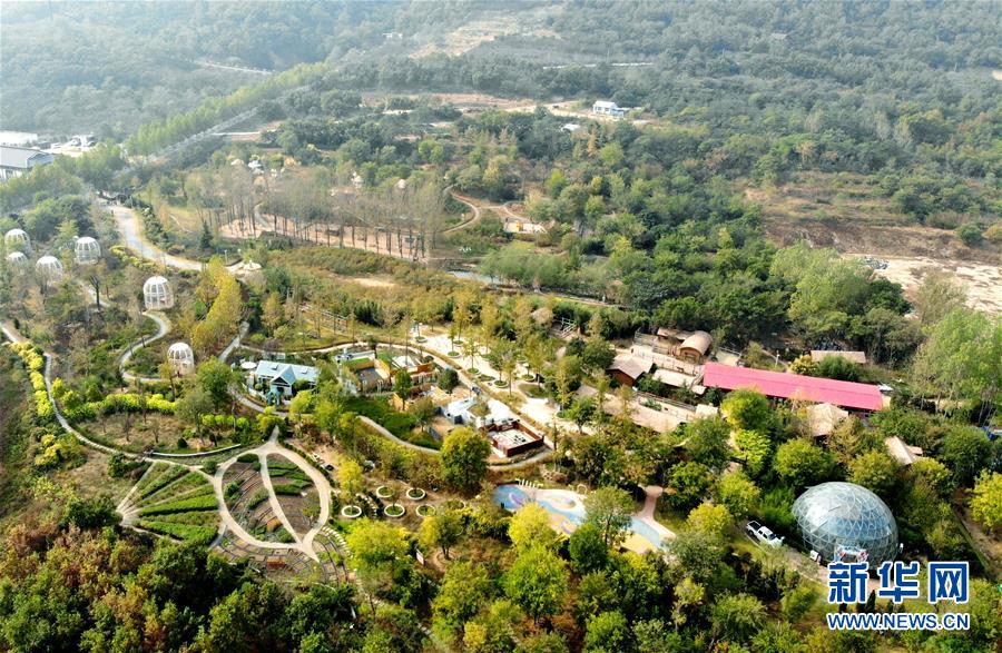 (全面建成小康社會(huì)“百城千縣萬村調(diào)研行”·圖文互動(dòng))(2)青島西海岸新區(qū)以“生態(tài)酵母”激活鄉(xiāng)村振興