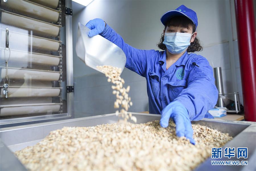 （決戰(zhàn)決勝脫貧攻堅(jiān)&middot;圖文互動(dòng)）（2）重慶三峽庫區(qū)從&ldquo;中華藥庫&rdquo;里探尋脫貧致富&ldquo;良方&rdquo;