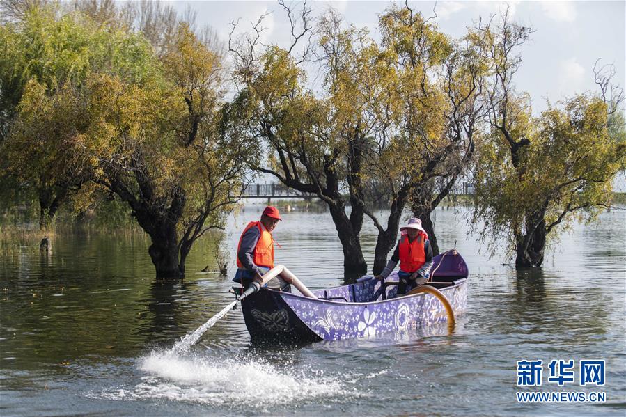 (新華全媒頭條·五中全會(huì)精神在基層·圖文互動(dòng))(9)奮發(fā)新青年 逐夢(mèng)新征程——各地青年學(xué)習(xí)貫徹落實(shí)五中全會(huì)精神觀察