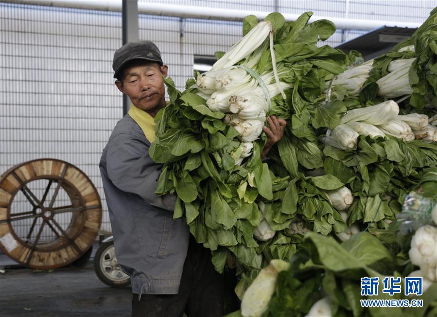 （全面建成小康社會&ldquo;百城千縣萬村調(diào)研行&rdquo;&middot;圖文互動）（3）安徽當涂：強產(chǎn)業(yè)抓主體促增收